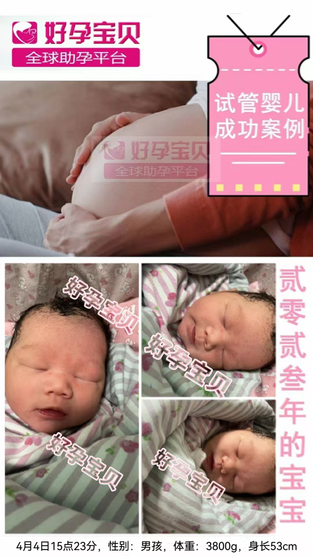 微信图片_20241115142246.jpg