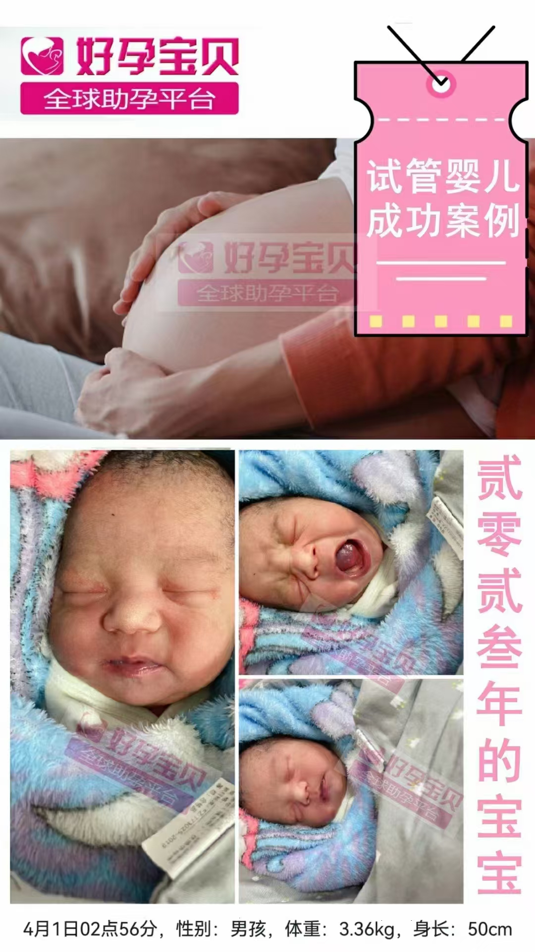 微信图片_20241115142206.jpg
