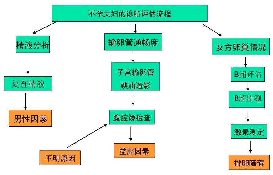 广州代怀公司：卵子质量差，是如何诊断的？
